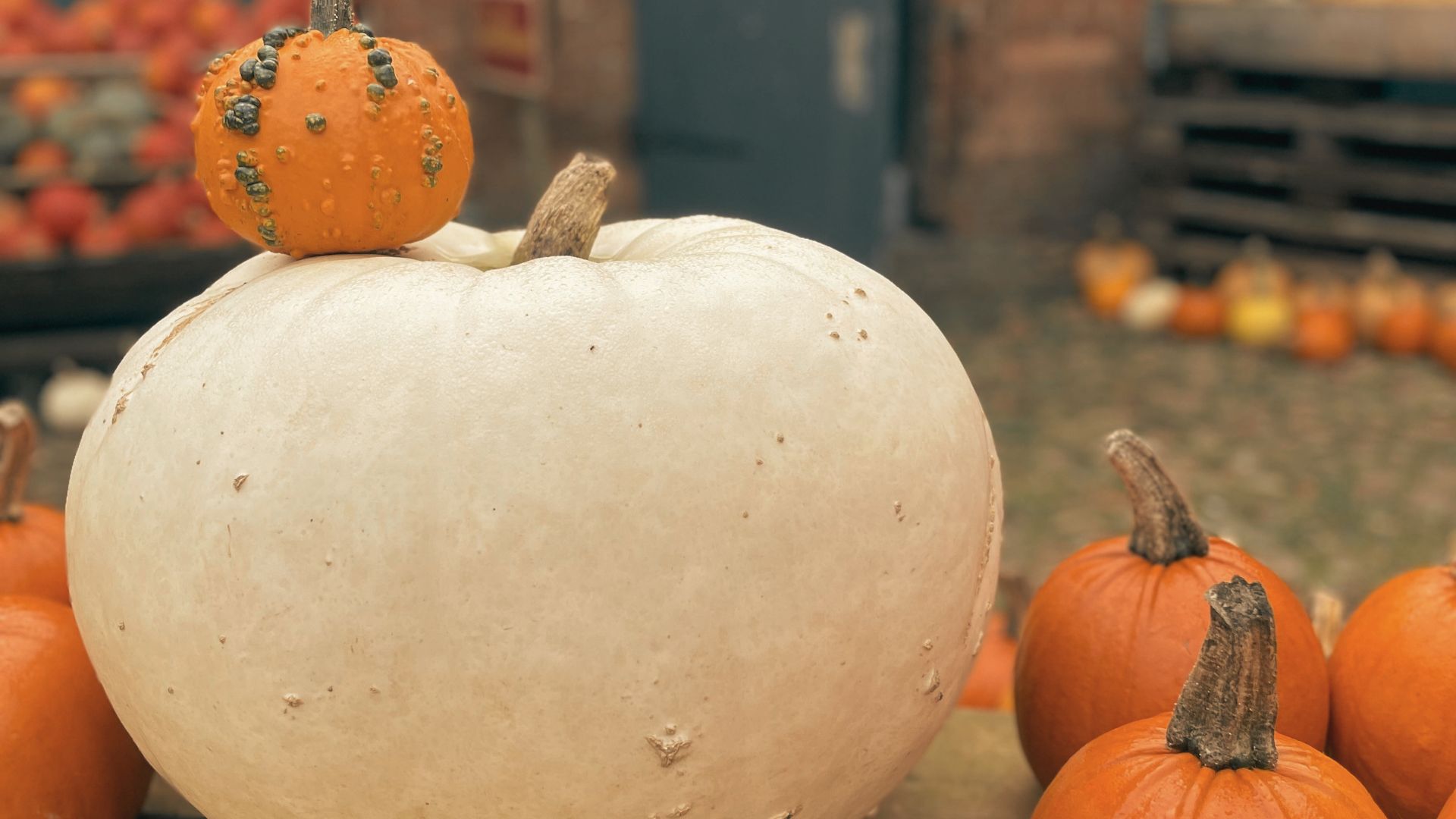 Gemütliche Herbst-Auszeit im Okelmann's
