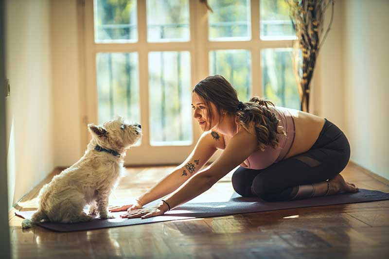 Yoga & Klangmassage mit Hund im Hotel Okelmann's